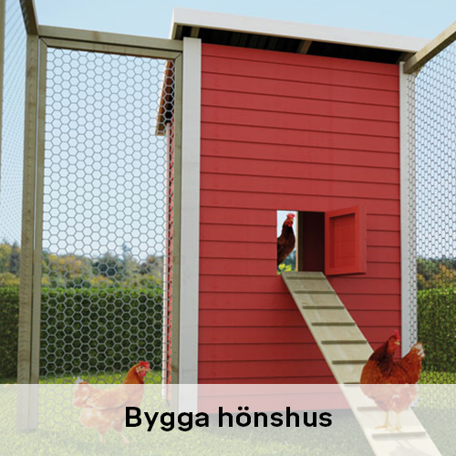 Bygga hönshus | Byggmax