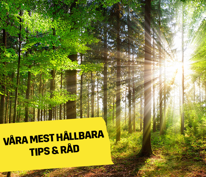 Våra mest hållbara tips och råd | Byggmax